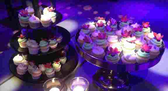 934888_465925540144758_1958798086_n